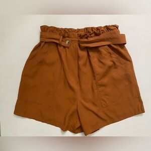 Zara Woman Womens Belted Paperbag Waist High-Rise Shorts Mocha Frosting Color M